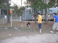 Wacol - Heritage Precinct Guard Dog